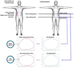 W2H-Net: Fast Prediction of Waist-to-Hip Ratio from Single Partial Dressed Body Scans in Arbitrary Postures via Deep Learning
